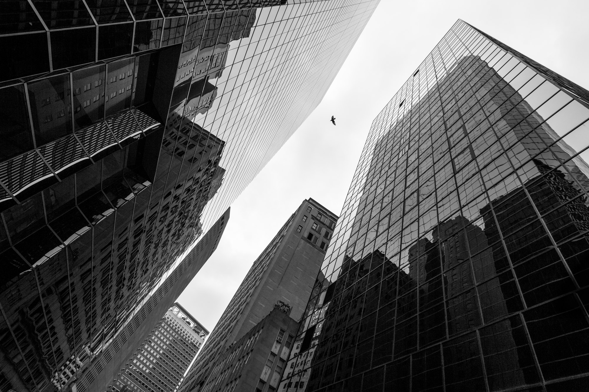 Bottom view of business buildings skyscrapers